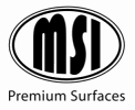 MSI Logo